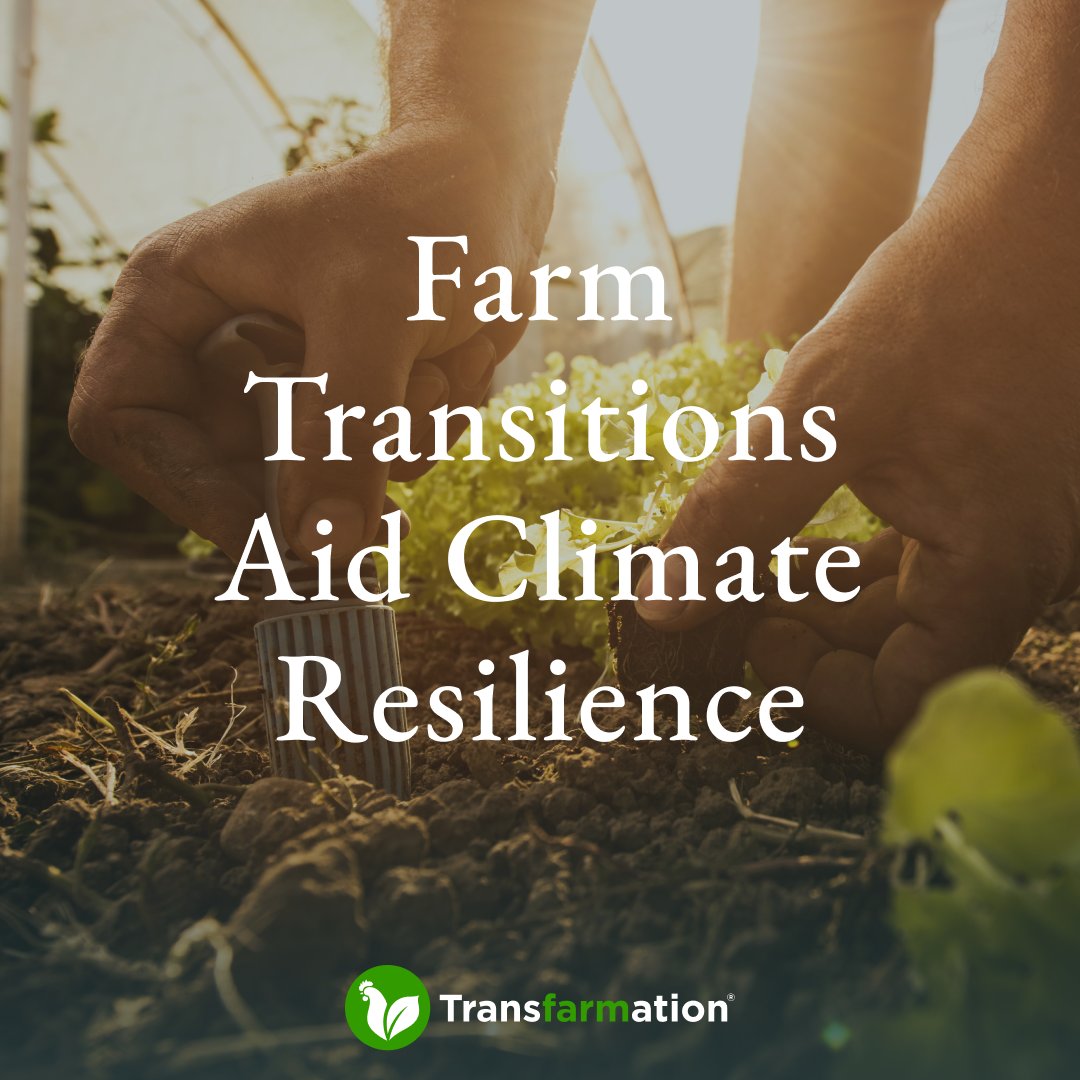 When we help #farmers retrofit their barns or sheds into space for #SpecialtyCrops, they are protected from extreme weather and changes in the environment. Farmers gain complete control over their operations!

Read more: TheTransfarmationProject.org.
#EarthMonth #ClimateResilience
