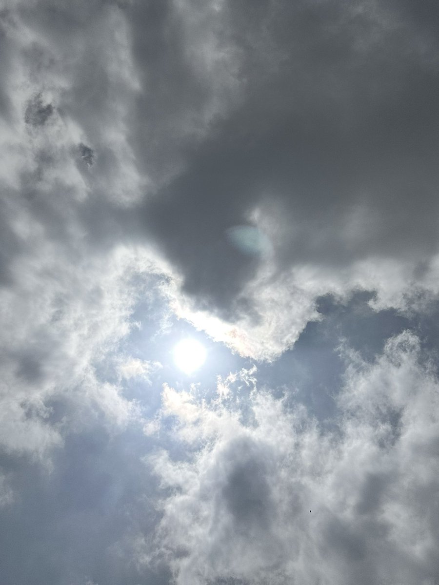 DallasXCEO's tweet image. #DXEclipse .@DallasExpress #Eclipse2024 #Eclipse #TotalEclipse