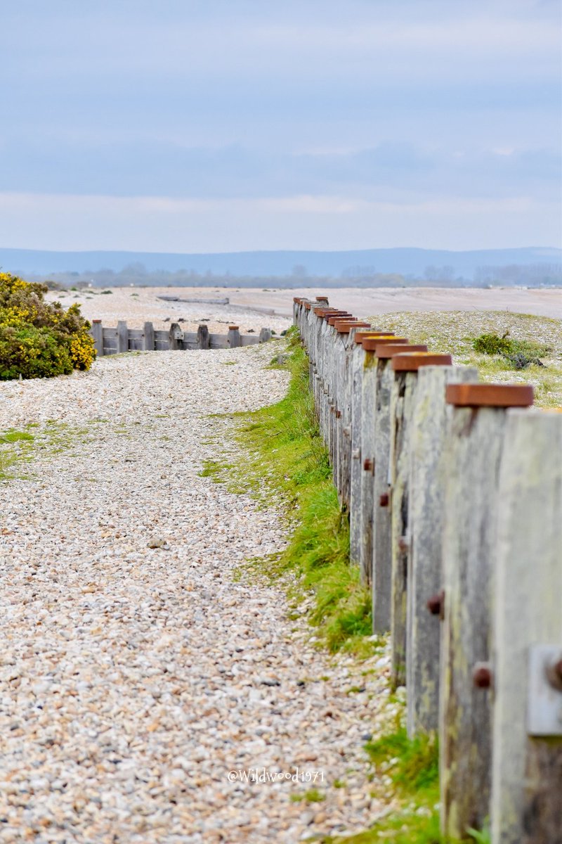 A wander up east this afternoon. The far reaches of Selsey @PONewsHub @greatsussexway @ExpWestSussex @VisitSEEngland @BBCSouthWeather @itvmeridian @ThePhotoHour @BBCSussex