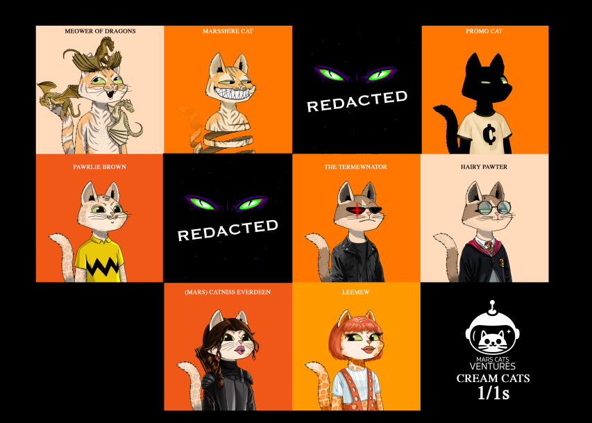 Mars Cats Voyage tweet media