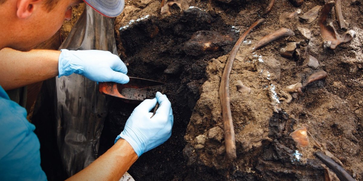 With Excavator Tours and more, see what discoveries you can make at the #TarPits this week: tarpits.org/calendar