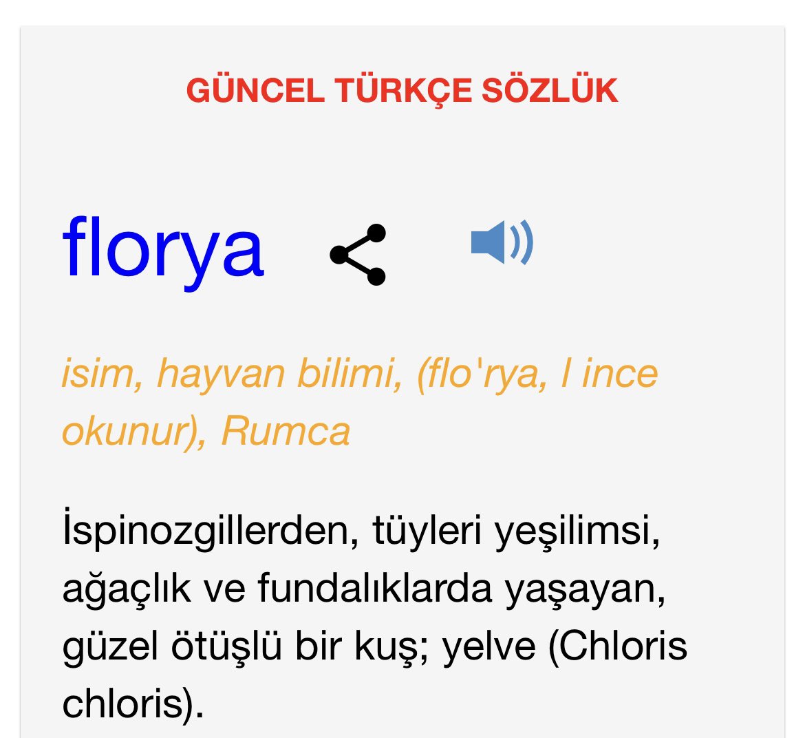 #küçüksuyelvesi Zor türlerden :) Yelve ne demek acaba diye baktığımda sözlükte florya yazıyor, floryanın tanımında da yelve geçiyor. Sözcüğün kökenini merak ettim.