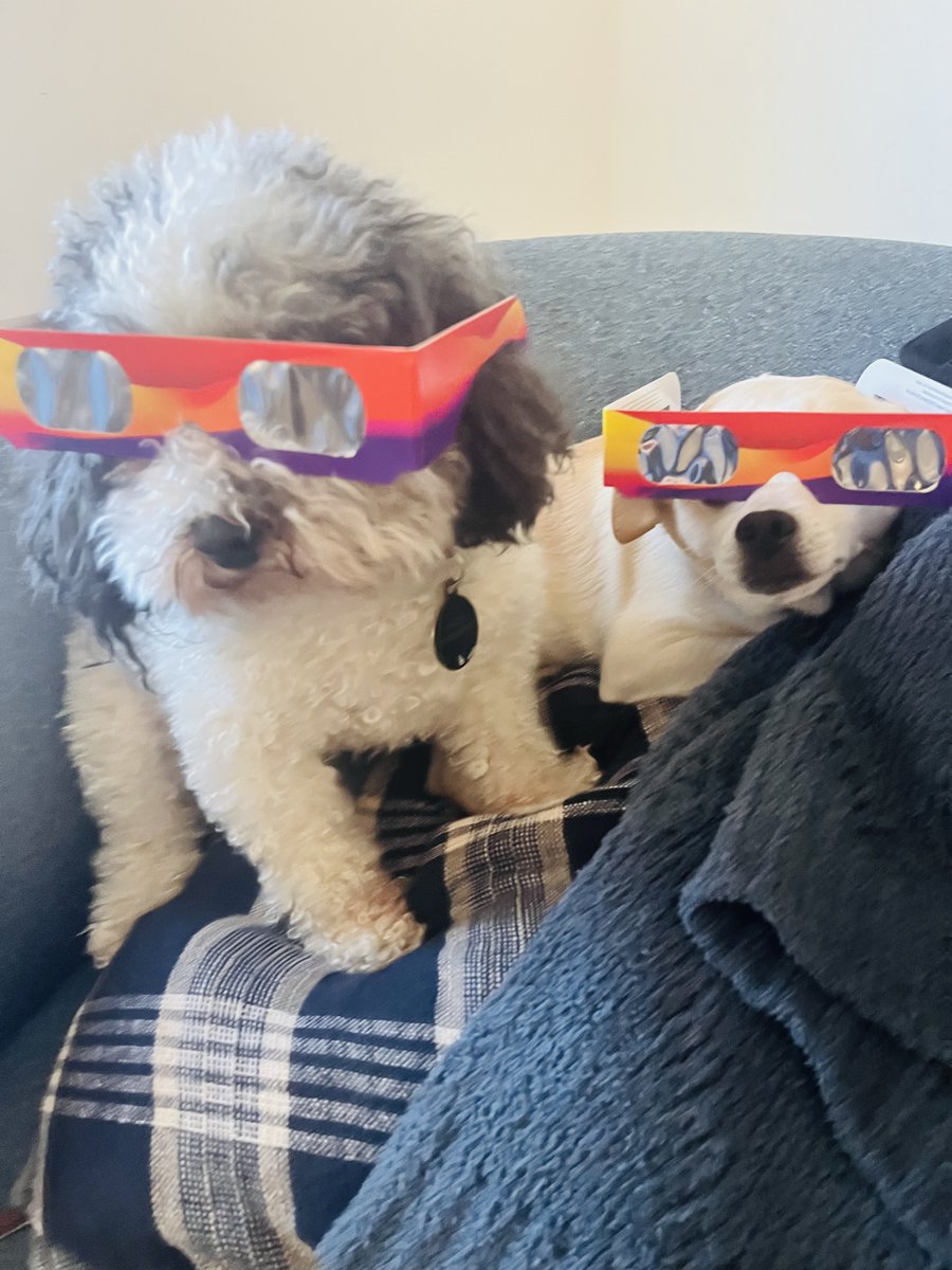 Taco and Frido are ready for the eclipse!