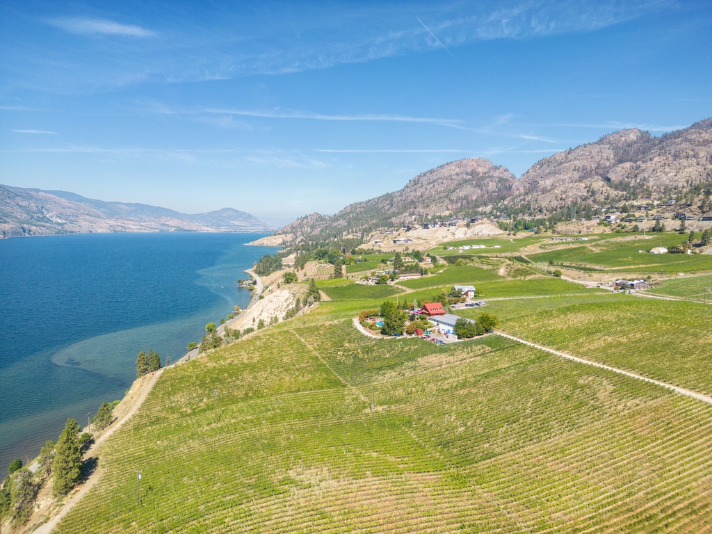 Escape the hustle and bustle of everyday life and unwind in #WineCountry with this Spectacular view 🍷✨ Take a sip of your favourite Blasted Church wine, and let the worries of the world melt away. blastedchurch.com/reservation/ Cheers to weekends in the South #Okanagan 🥂 #BCWine