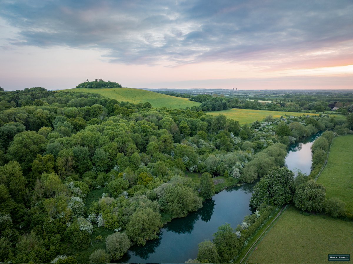 Things will be this green soon! The #Thames passing Wittenham Clumps, the North bank perhaps once being an ancient defended settlement with a river port. @earth_trust HedleyThorne.com