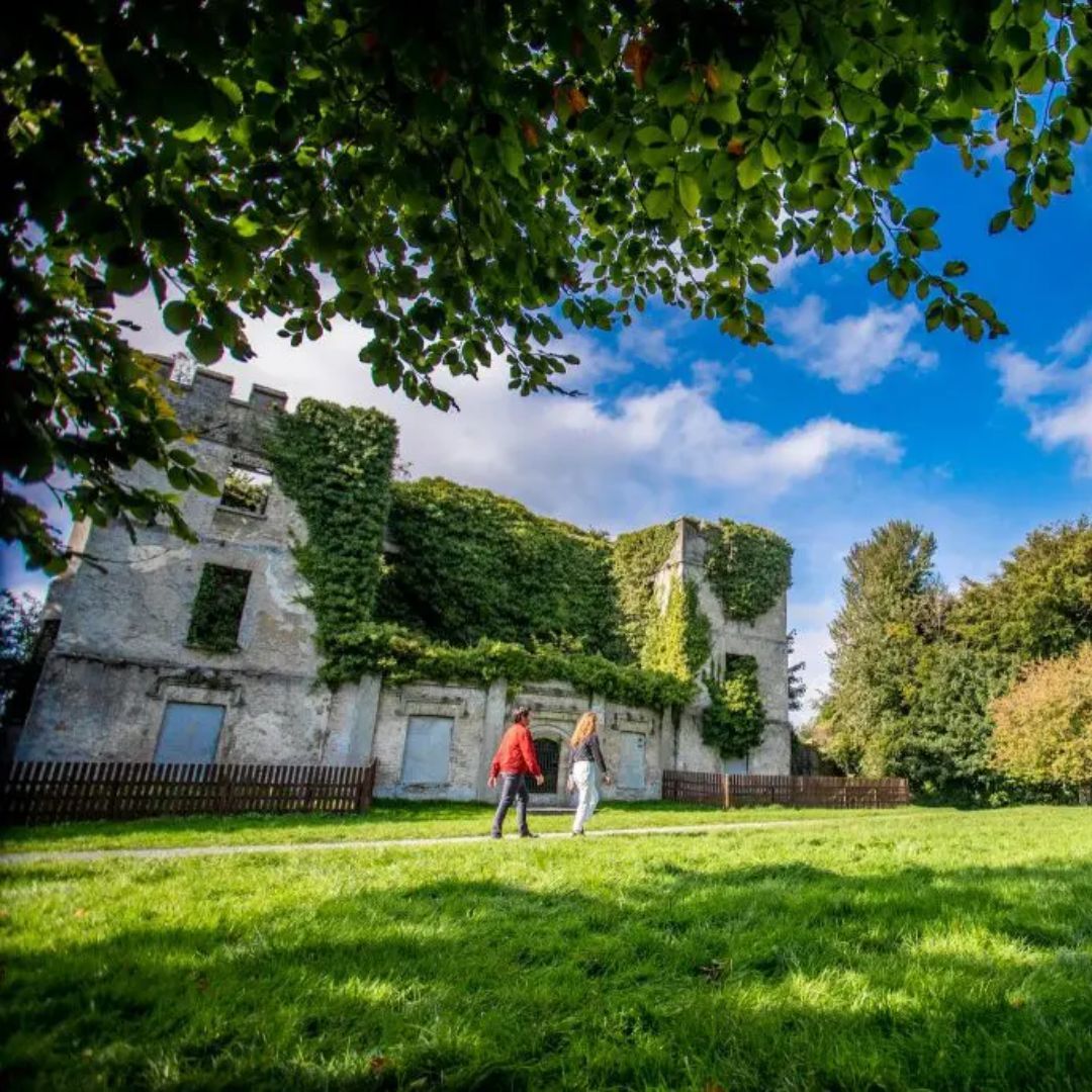 So you have 48 hours to kill. Wondering what to do, where to go? 🤔 Head for Kildare. No matter what type of short break personality you are, this county will exceed your expectations. Check out our blog for a list of things to do! ➡️ buff.ly/3xmYhyd #IntoKildare