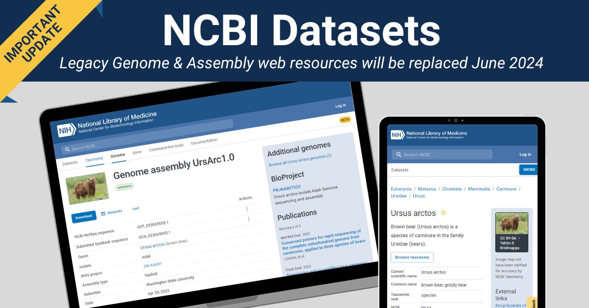 Reminder! Effective June 2024, NCBI Datasets will replace the legacy Genome and Assembly web resources. Learn more: ow.ly/cZbz50R9sSY #NCBICGR
