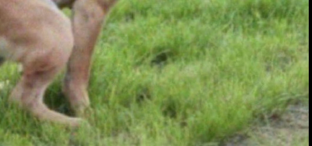 miamadems's tweet image. ik the cousins gone hate me for this one