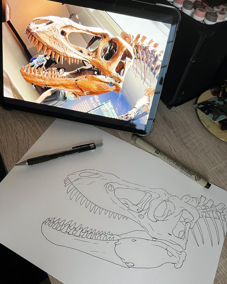 🦖 Kids these days. Enjoy a #FanArtFriday courtesy of Grace’s rendition of our juvenile 𝘛. 𝘳𝘦𝘹. Have you encountered our 𝘛. 𝘳𝘦𝘹 Trio? Find the real thing on view in our iconic Dinosaur Hall! 📷 IG/paleozoo