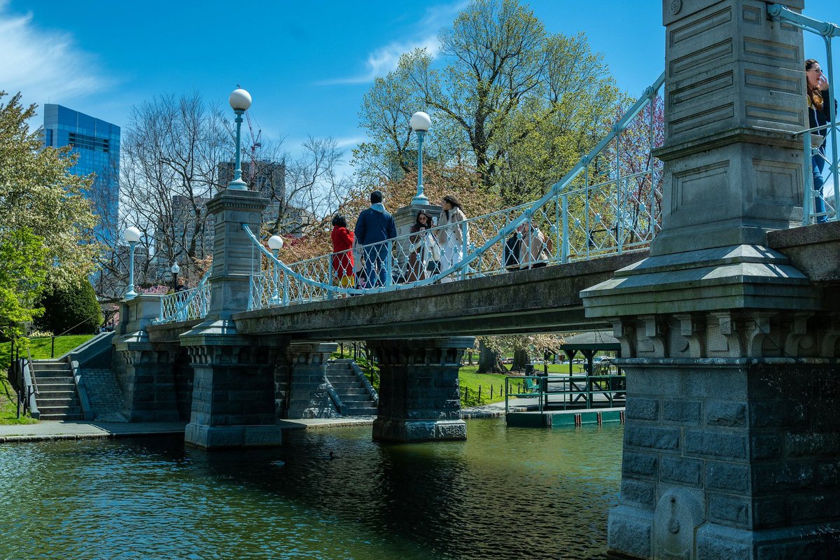 It’s a walk in the park 🌷 #bostongarden #boston #bostoncommon