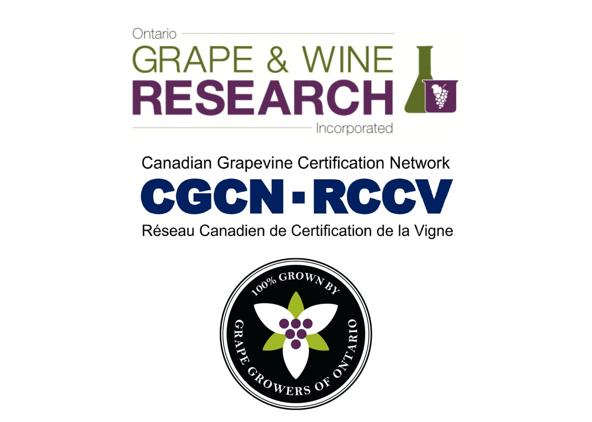 Grapevine viruses pose negative economic impacts for @grapegrowersont & wineries. When replanting vines, start clean & stay clean with @CGCN_RCCV! Join us on April 23 at 3pm at the @ONCraftWineries in room 205 to learn about disease mitigation strategies and clean plants! #OCWC24