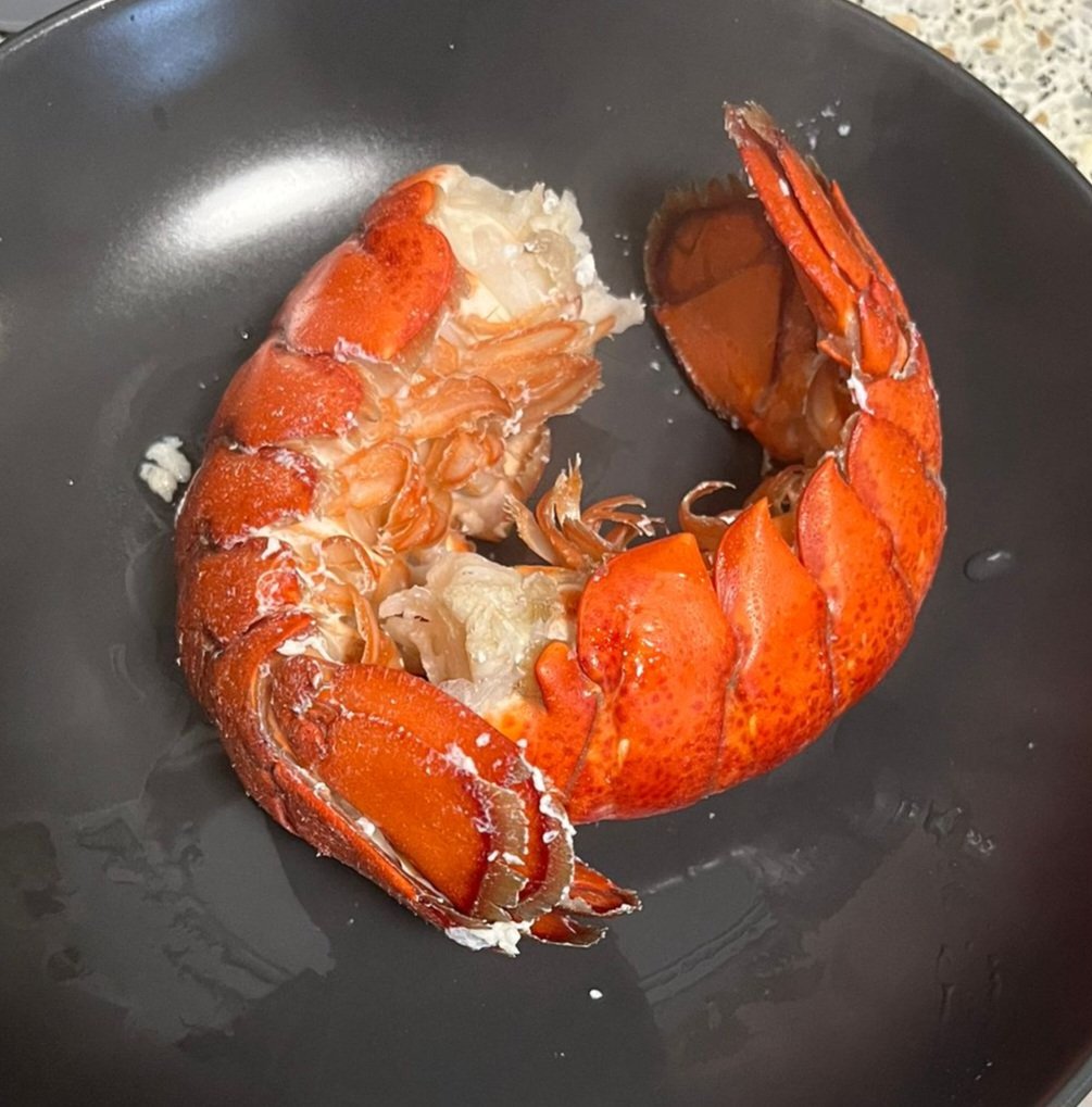 Ekornya juga lumayan...
#LobsterTail
#Sekali2Aja