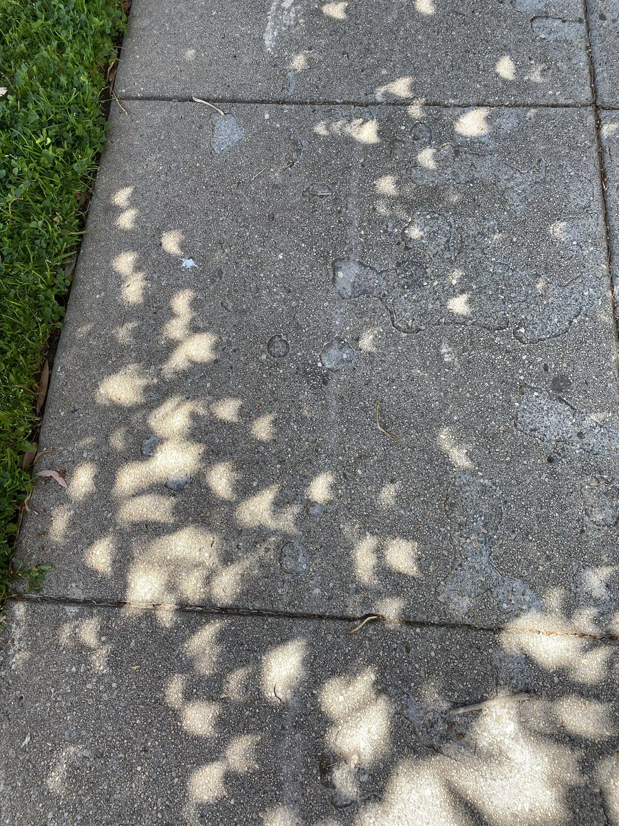 Eclipse crescents