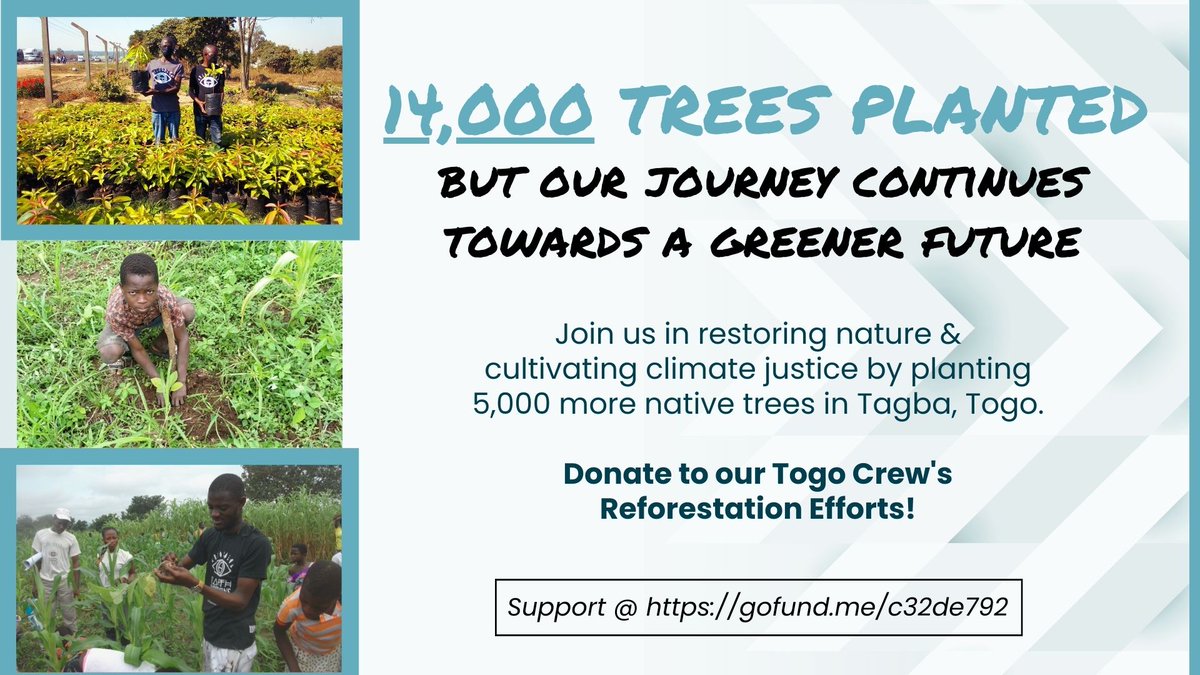 Our Togo Crew is reforesting 10 hectares with 5,000 trees, vital for biodiversity and climate resilience.💚With your support, we can double our impact thanks to a matching grant - up to $10,000! 🙌 #Reforestation #ClimateAction #ClimateJustice #EarthGuardians #Tagba
