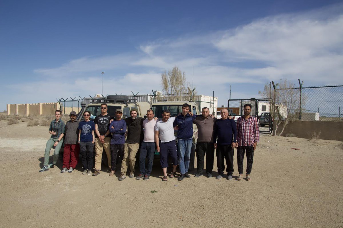 Thanks to a great international team we have completed extensive population survey of Asian Houbara #Bustard across Bukhara district of Uzbekistan in the 13th year of our long-term monitoring.
