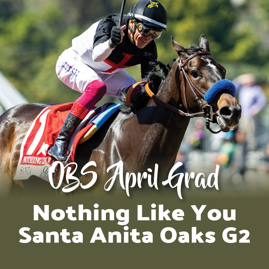 Last weekend, Nothing Like You (OBS April 2023 grad) scored in the G2 Santa Anita Oaks! 🏇Her earnings now are pushing over $420k. Get your next champion at OBS Spring on April 16 - 19th #obssales
