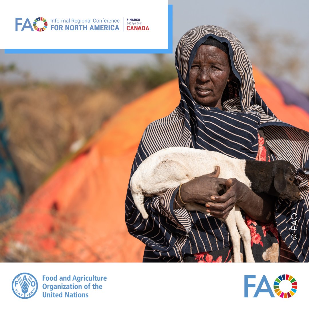 As acute hunger is escalating worldwide, urgent and collective action is needed. @FAO & our partners from the United States & Canadian governments are meeting from 9-10 April, to discuss priorities to better address global #FoodSecurity challenges. Stay tuned ! #INARC8