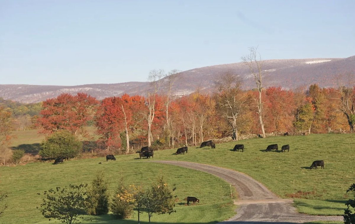 'EPA Threatens Locally Produced Beef
Mission Creep: Proposed EPA Rule Shuts Down Small Meat Producers'
Follow the link in the comments for the article: