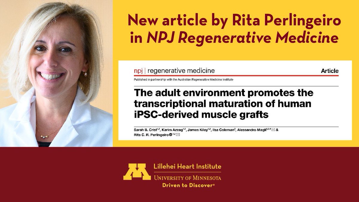 NPJ Regenerative Medicine has published a new article by Rita Perlingeiro, PhD about maturation of human iPSC-derived muscle grafts. Read the full article @ buff.ly/3UaCwL5 #UMNresearch #UMNheart #UMNproud