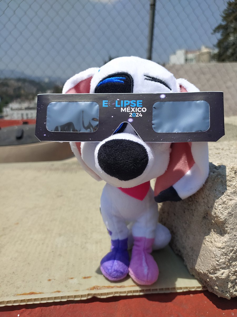wanderer_w0olf's tweet photo. They're ready too#eclipse #calledalmatas101 #101dalmatianstreet #eclipsemexico https://t.co/AZMIajDPQa