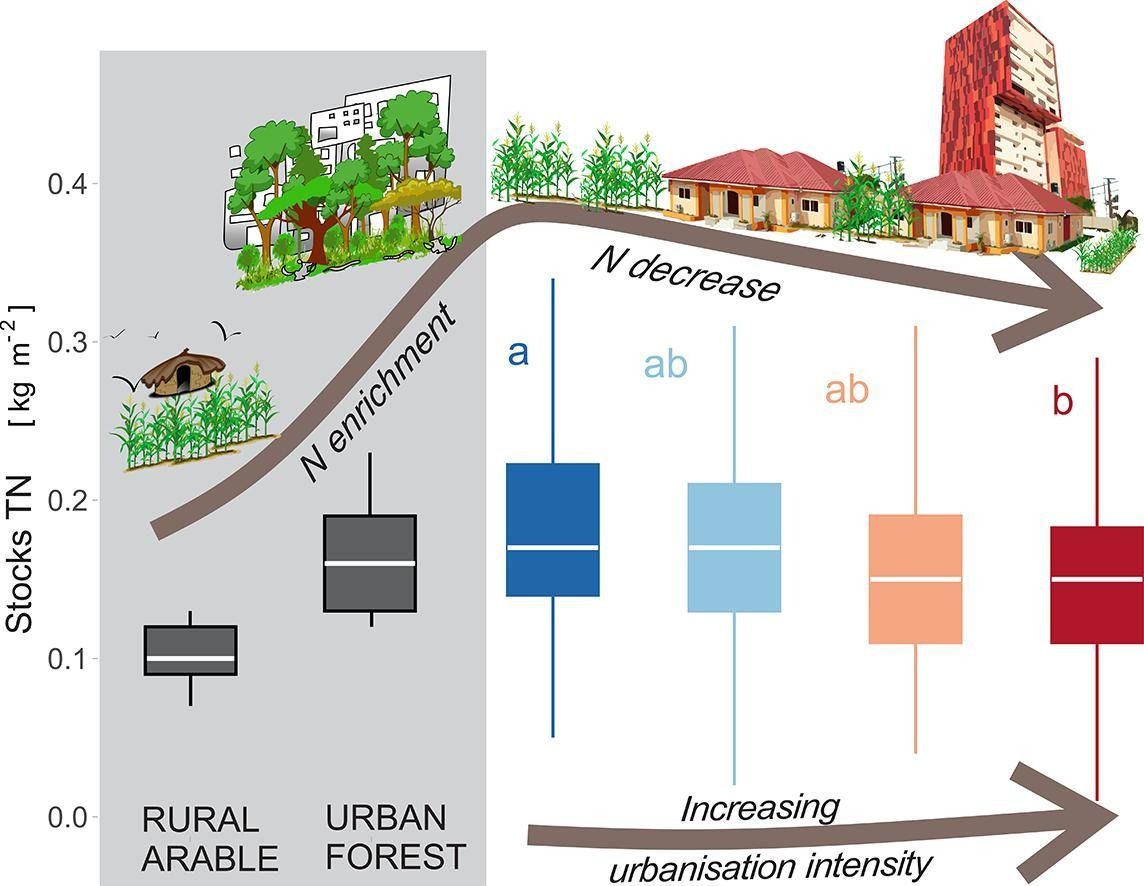 New in Geoderma: 'Nitrogen enrichment does not adversely affect exchangeable bases in rainfed urban arable soils of Kumasi, a tropical West African city' by SB Asabere, KA Nketia, NA Iddris [...] D Sauer. buff.ly/4abZpTX @uniGoettingen @UNBonn @KNUSTGH @yaw_asabere
