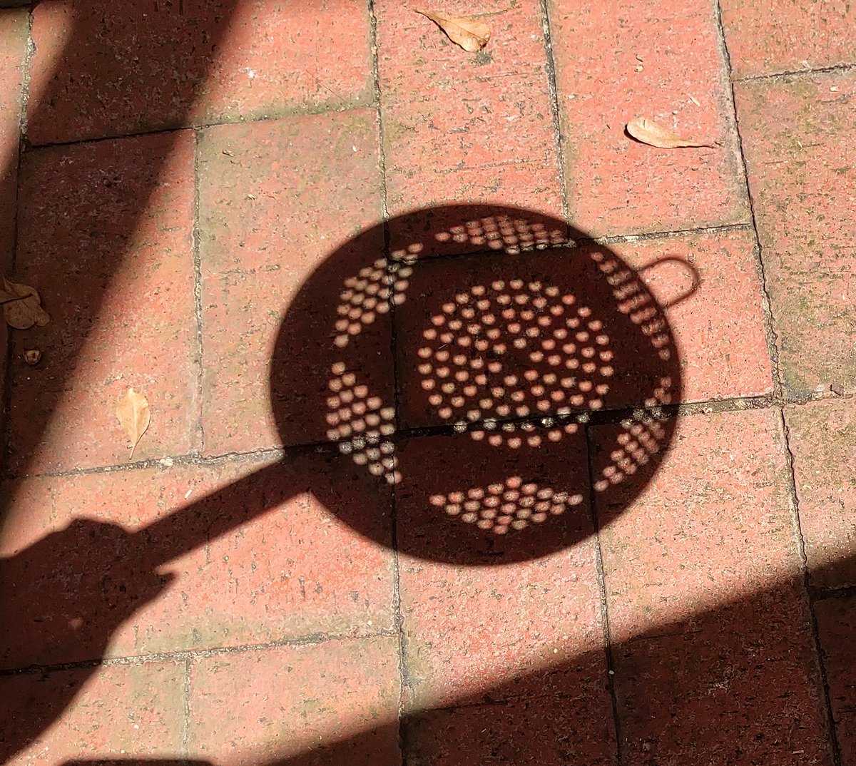 MistyKitty3's tweet image. You can&apos;t really tell but there&apos;s a bite out of it. I checked it with my eclipse glasses. 
#Eclipse2014
#EclipseFlorida