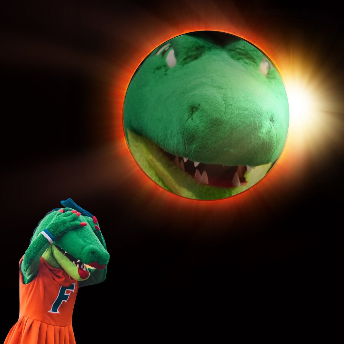 They tell you not to look directly at the eclipse, but that’s only because they’re afraid of what you might see 👀🐊