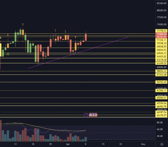 Nugget Chief tweet media