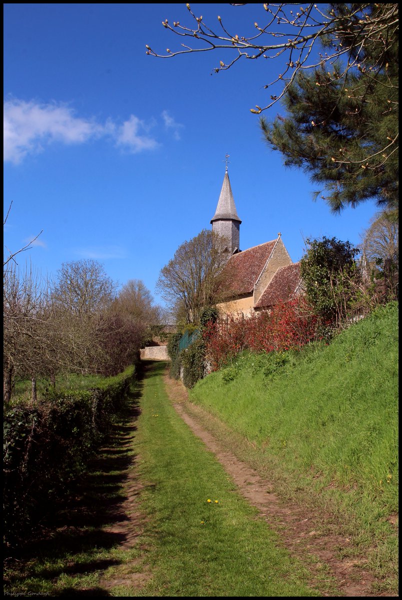 Sarthe V'la le printemps ! #SaintDenisDesCoudrais #Sarthe #laSarthe #sarthetourisme #labellesarthe #labelsarthe #Maine #paysdelaloire #paysage #nature #campagne #rural #ruralité #gondard #route #road #OnTheRoadAgain #graphique