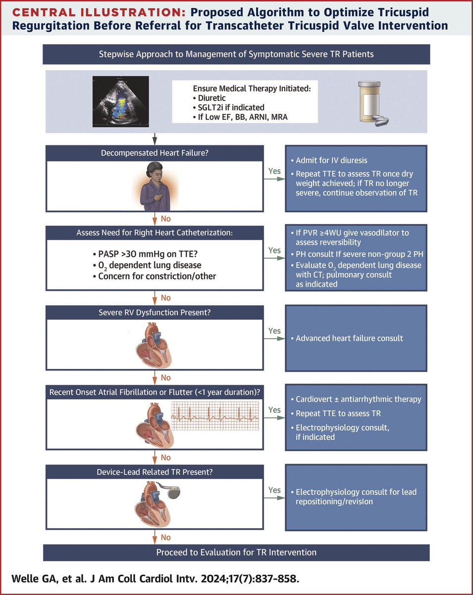 Mack Eleid (@eleidmack) on Twitter photo New Approached to Management of TR Prior to Intervention: check out the #JACC Interventions SOA Review <a href="/GarrettWelleMD/">Garrett Welle, MD</a> <a href="/hahn_rt/">RTHahnMD</a> <a href="/PhilippLurz/">Philipp Lurz</a> <a href="/Grace_Lin_MD/">Grace Lin, MD, MBA</a> authors.elsevier.com/a/1iubV%20i2X-… New Approached to Management of TR Prior to Intervention: check out the #JACC Interventions SOA Review <a href="/GarrettWelleMD/">Garrett Welle, MD</a> <a href="/hahn_rt/">RTHahnMD</a> <a href="/PhilippLurz/">Philipp Lurz</a> <a href="/Grace_Lin_MD/">Grace Lin, MD, MBA</a> authors.elsevier.com/a/1iubV%20i2X-…