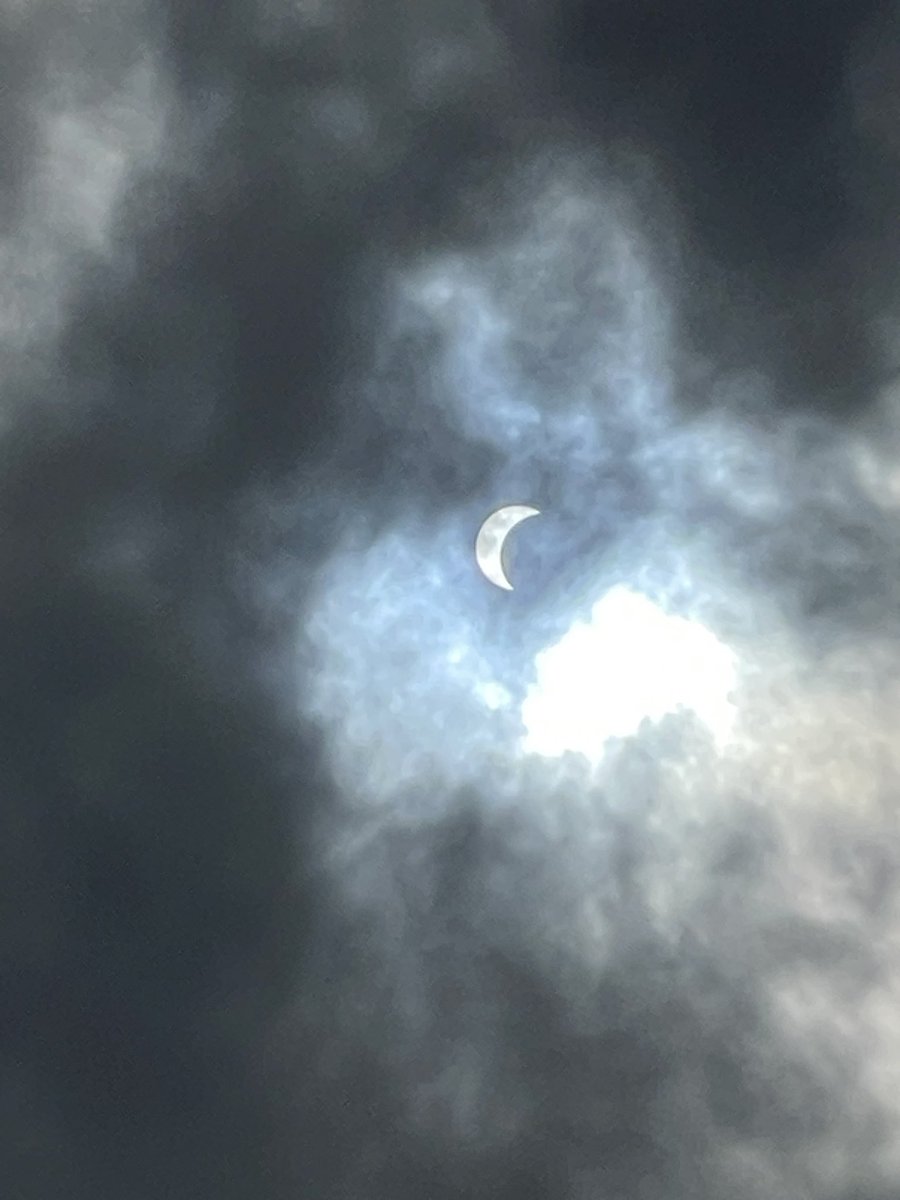 Kristen Cline tweet media