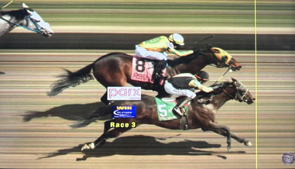 Another tough one for Brokenhearted, who is beat a nose at the wire today @parxracing. (Video finish below in tweet)