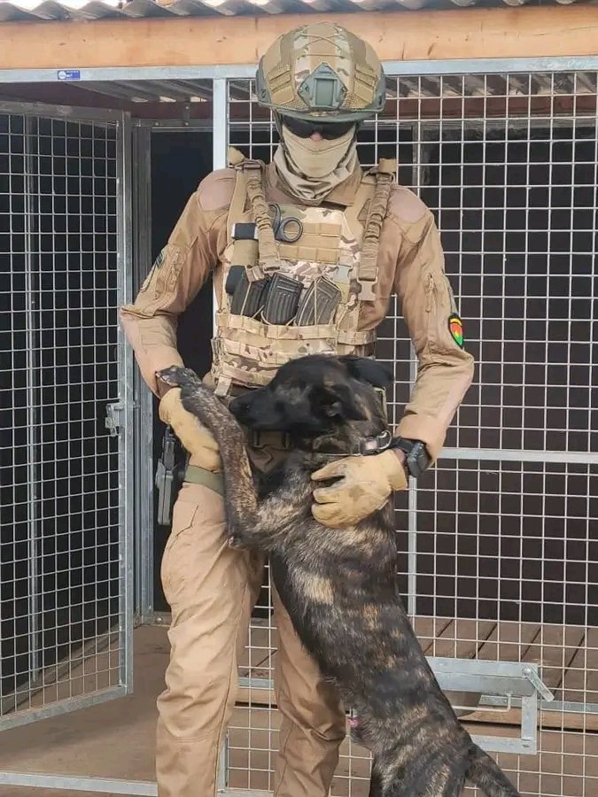 #photoDeLaSemaine
Les sapeurs mineurs du Bataillon du Génie Militaire interviennent à plusieurs niveaux lors des opérations de reconquête du territpire national. Ici un binôme (maître chien et son chien) de l'équipe cynophile indispensable dans la lutte contre les engins explosif