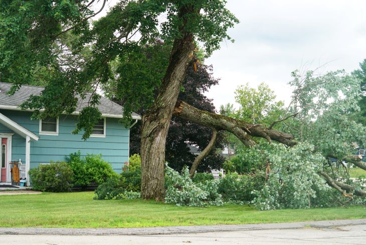 Make sure your home is ready for any spring storm that is sent its way with the most up-to-date electrical systems. Contact Fusion Electric now to schedule a FREE consultation!
fusionkc.com/electrical-ser…

#electrician #kansascityelectricians #electriciankansascity #localelectrician