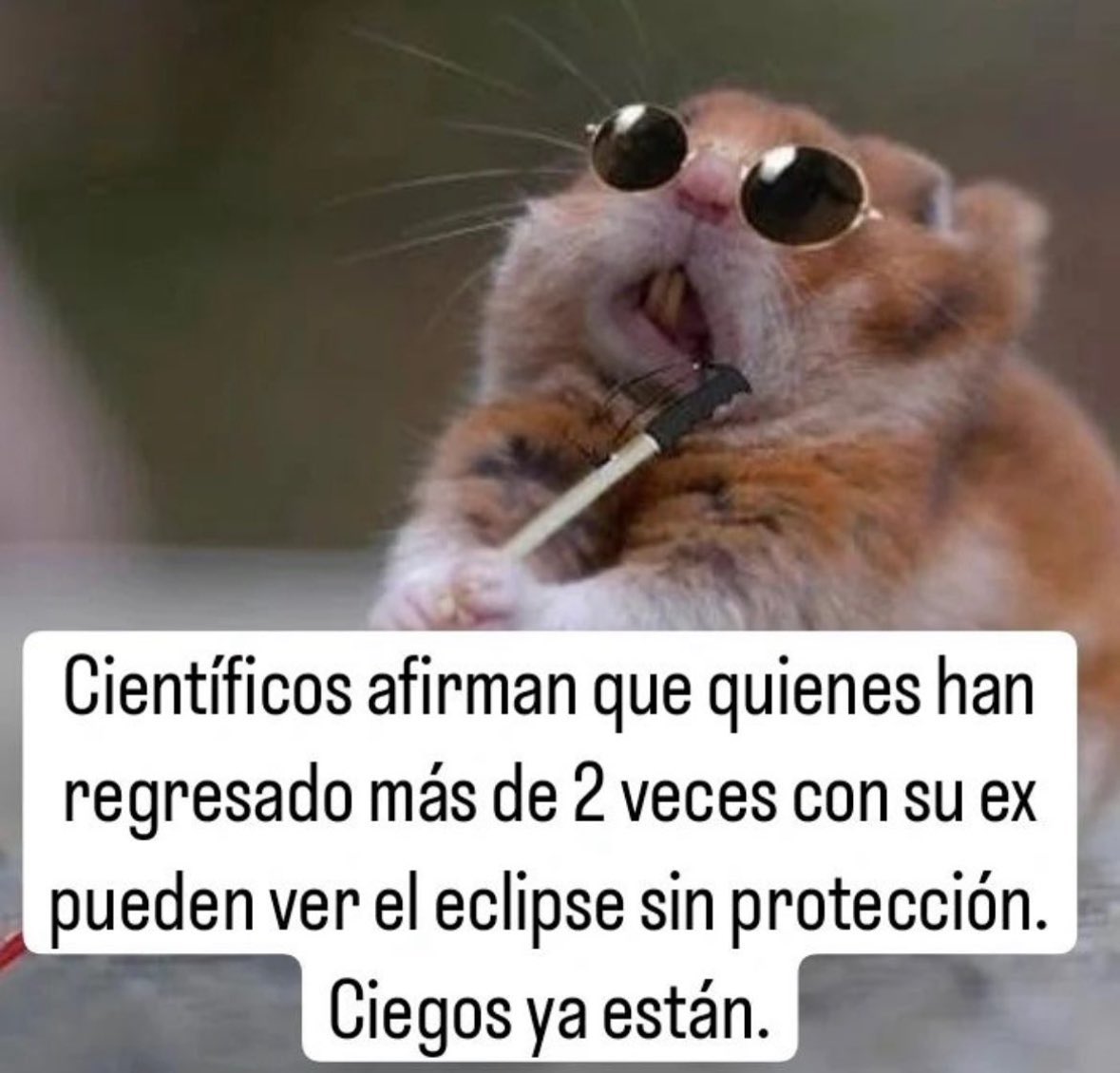 danielgoaz's tweet photo. Con confianza. https://t.co/e8FZUhb474