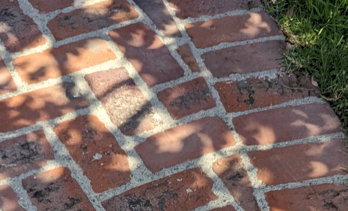 Trees make great eclipse viewing pinhole projectors