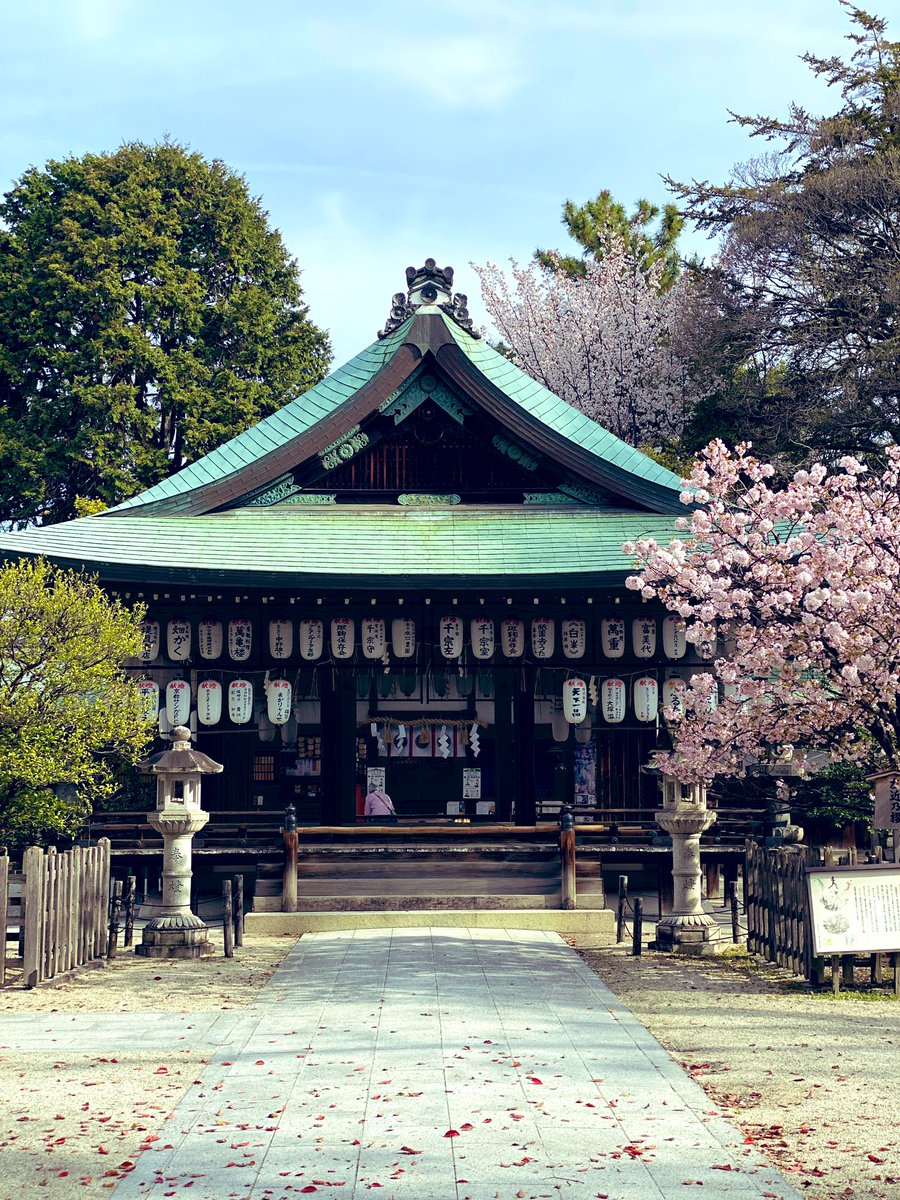 17_rinrin's tweet photo. 京都🌸白峯神宮⛩️
(しらみねじんぐう) https://t.co/gDEuQaLzmw