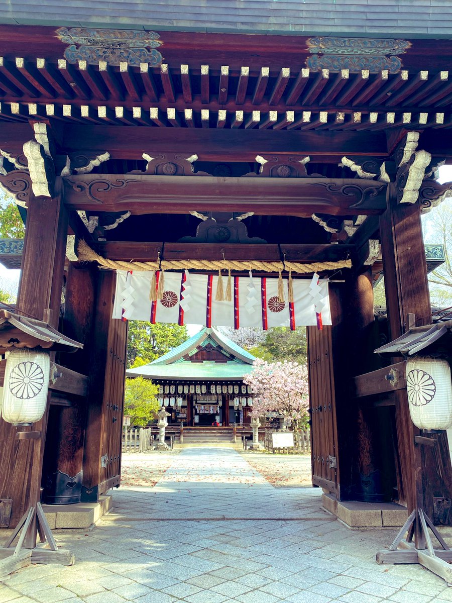 17_rinrin's tweet photo. 京都🌸白峯神宮⛩️
(しらみねじんぐう) https://t.co/gDEuQaLzmw