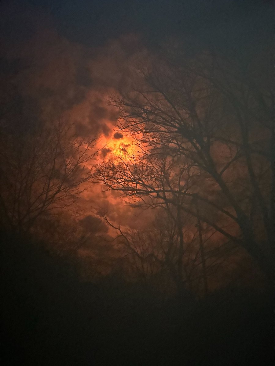 LabBeatty's tweet image. Happy Solar Eclipse Day!🌘

For anyone that missed the eclipse or didn’t have eye protection to view it, enjoy these pics our newest undergrads were able to capture: