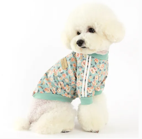 CapriFriends's tweet photo. 🐶 Dress your furry friend in style with our Nancy Track Top Mint! 
Comfortable, chic, and perfect for everyday wear. Available in sizes S, M, L. 
Treat your pet today! 🌿
https://t.co/plqZGylh4I
 #PetApparel #StylishPets https://t.co/3UzaiNZ88G