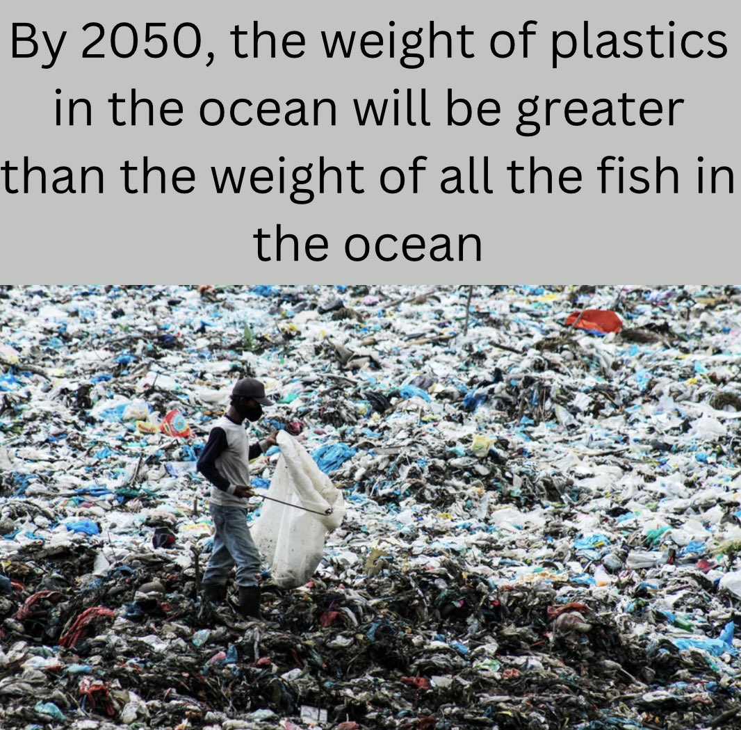 Save the oceans!!!

#earthmonth #weloveourearth #savetheoceans #pollution #trash #plastics #coralreefs #fish #extinction #seaanimals #oceanrescuealliance