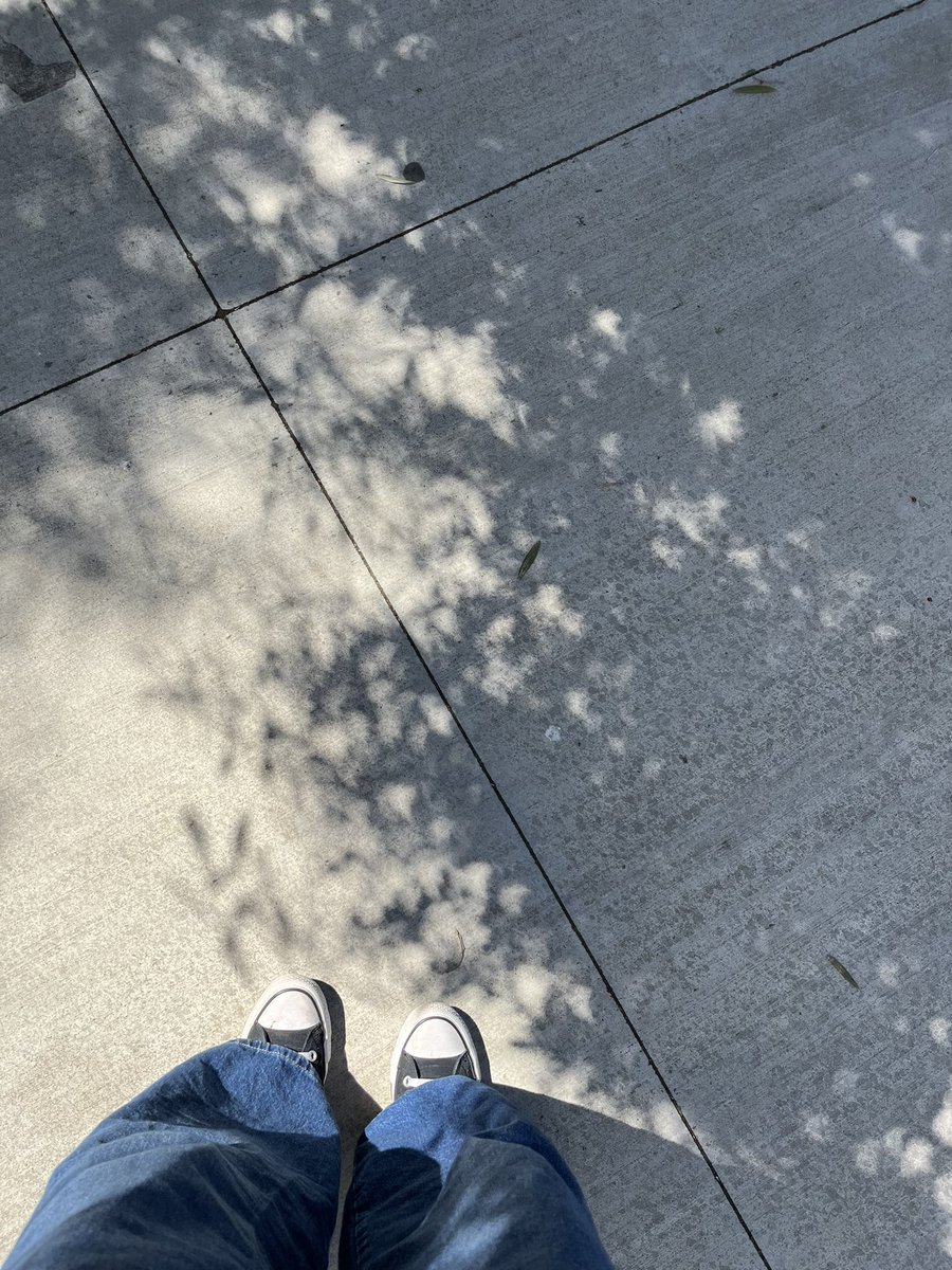 Weirdoooo101's tweet photo. I got some neat photos of the eclipse :D in California we only get about 30% coverage but I love the crescent shadows so much <3 https://t.co/CIge6QO0TC