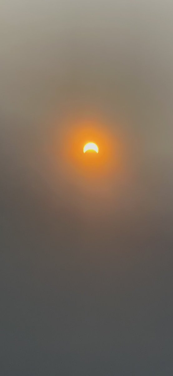 Eclipse time!!! ☀️🌑 Anyone get good (and safe) pics and videos of the eclipse? Here is mine using my solar viewing glasses! 👓