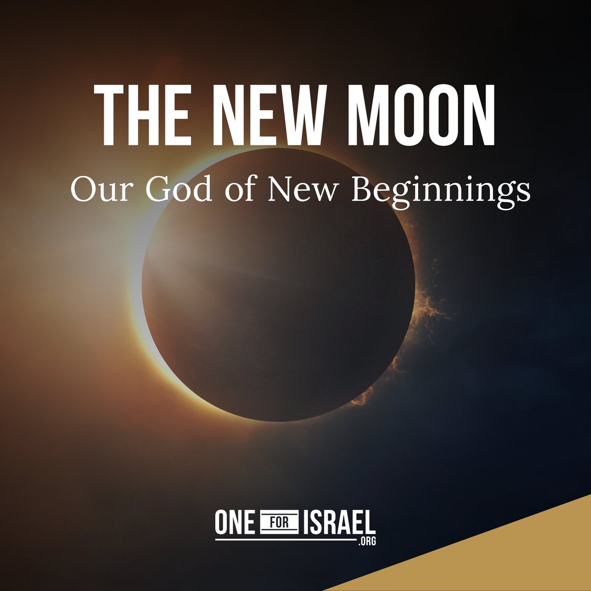 At sunset on April 8, 2024, the new biblical year begins. It's the first day of the first month, the Hebrew month of Nisan. And it's even more significant with this solar eclipse! Nisan is the month of Passover, which will happen when the moon is full. But today, we wish you a…