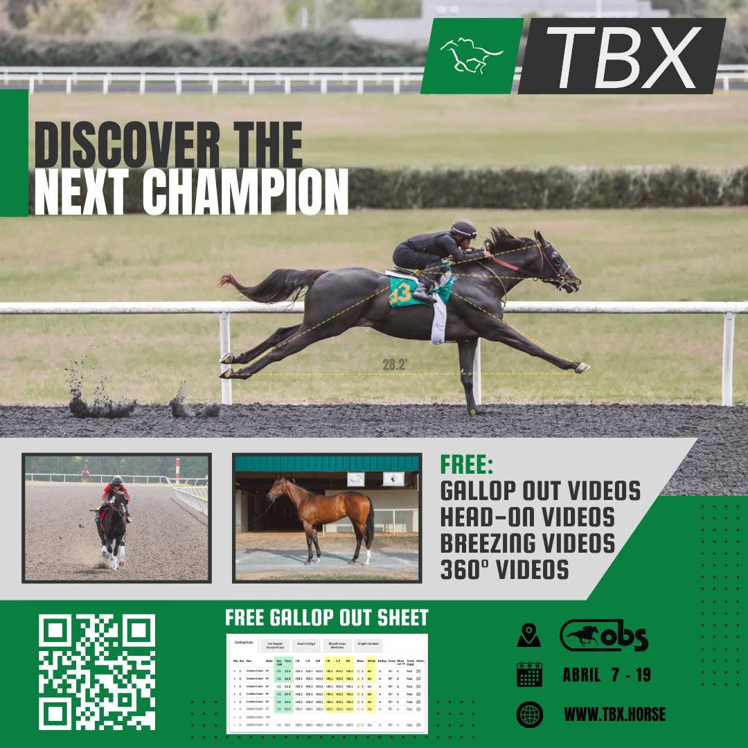 Discover the next champion with TBX.Horse! You can now view the workout videos, gallop out videos, head on videos, and select 360° confirmation videos for FREE. Create an account on TBX.Horse and get all the inside info at this 2024 OBS Spring sale!