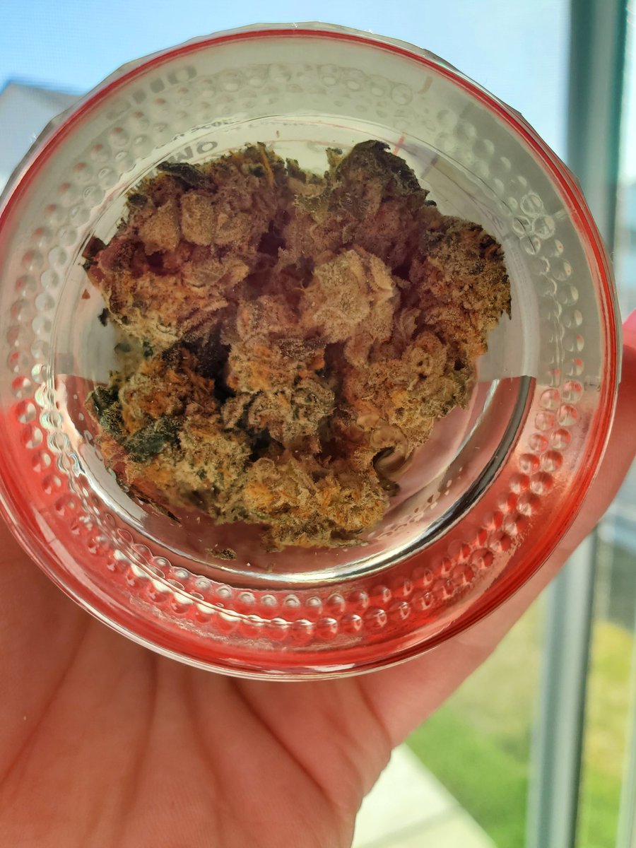 The pick up for the week 😍 40% wowzers. 😘 #smokeweed #Eclipse2024 #staylifted #smokeout #smokesesh #420community #stonerchick #stonerfam #stonernation #potheads #WeedLovers #cannaland