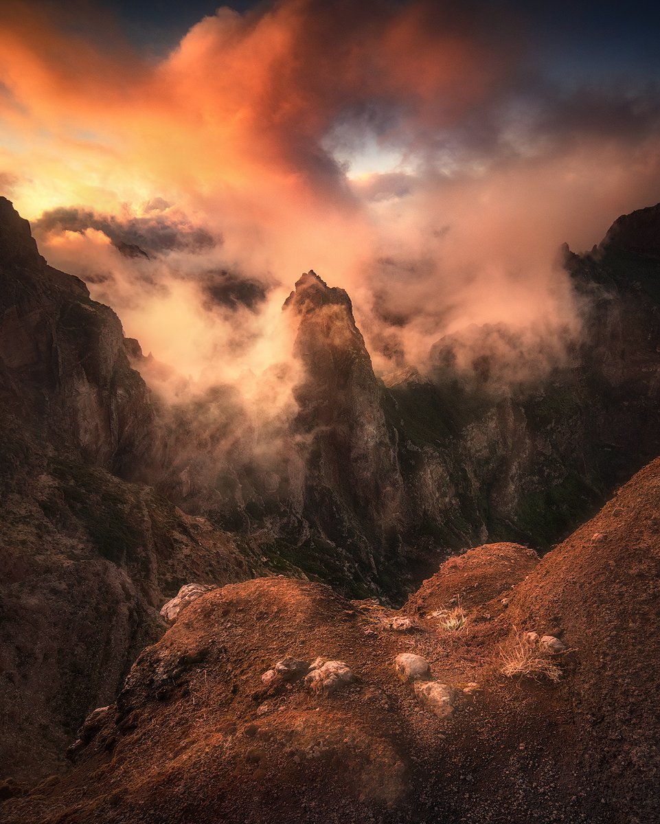 GM from the top of the world in Madeira Island! ❤️