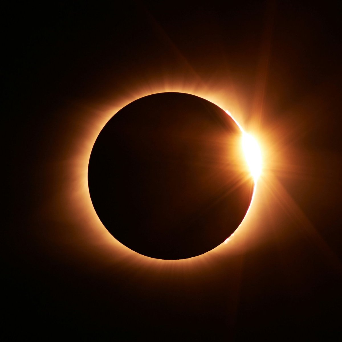 thejetcoach's tweet photo. View the Solar Eclipse from a Jet without ever having to leave the ground.😎🌒✈️ https://t.co/7xqqwps81k 

#solareclipse2024 https://t.co/S5Dg4X5PKB