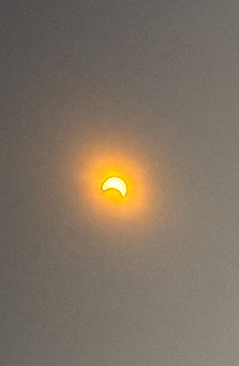 Redlands STEAM & Innovation tweet media