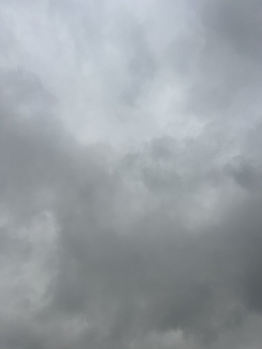 KennethRWebster's tweet photo. Behold - the solar eclipse as seen from here in Texas! https://t.co/MGdbmOM7nY